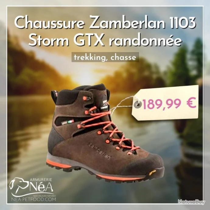 Chaussure Zamberlan 1103 Storm GTX Randonnée. Trekking. Chasse