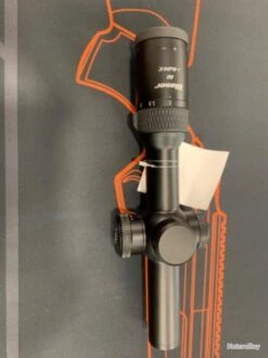 Lunette Blaser B2 1-6x24 Ic Rail Zm