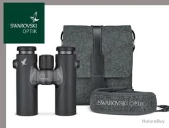 Jumelles Swarovski CL Companion 8x30 Grise Northern Lights