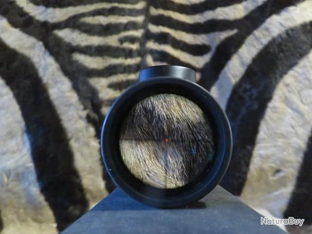 Lunette De Battue NIKON Monarch 7 1-4x24 I à Rail – Image 6